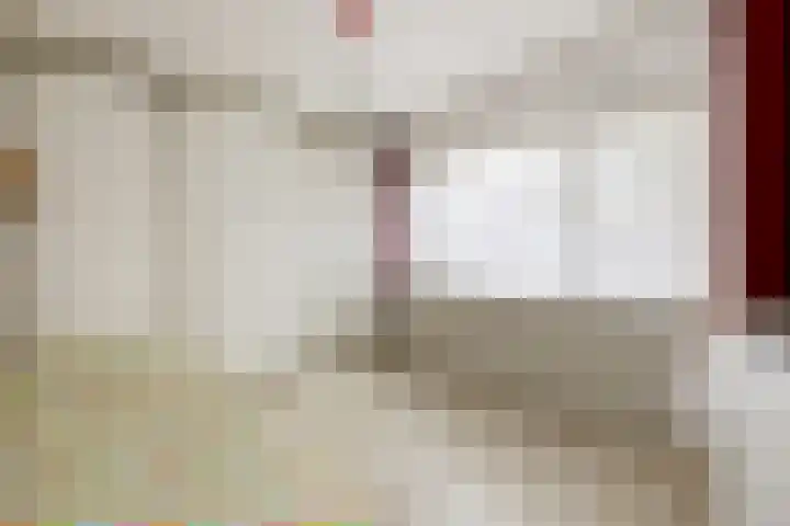 Saffraan 9 Raalte thumbnail 26