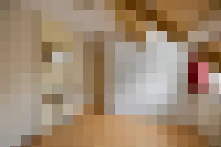 Saffraan 9 Raalte thumbnail 34