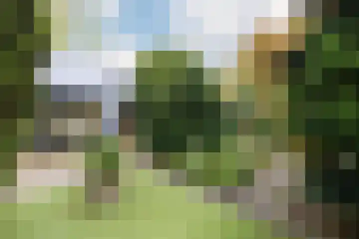 Saffraan 9 Raalte thumbnail 36