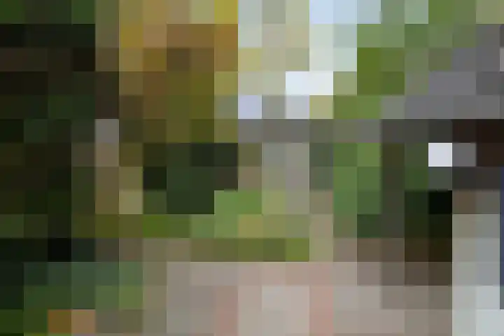Saffraan 9 Raalte thumbnail 38