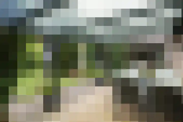Saffraan 9 Raalte thumbnail 43