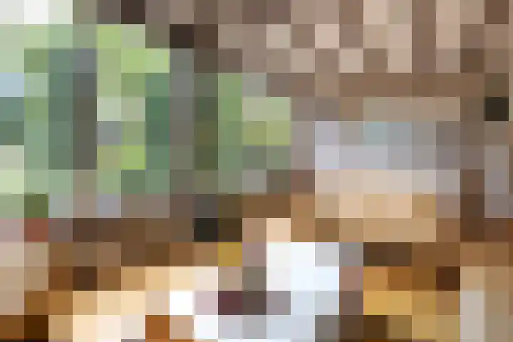 Saffraan 9 Raalte thumbnail 7
