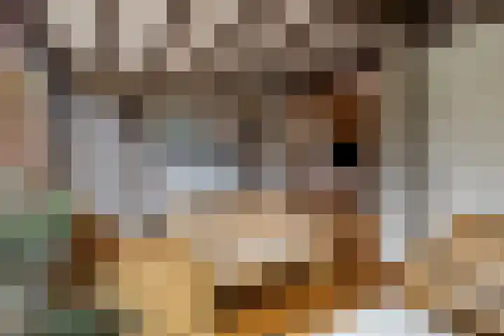 Saffraan 9 Raalte thumbnail 8
