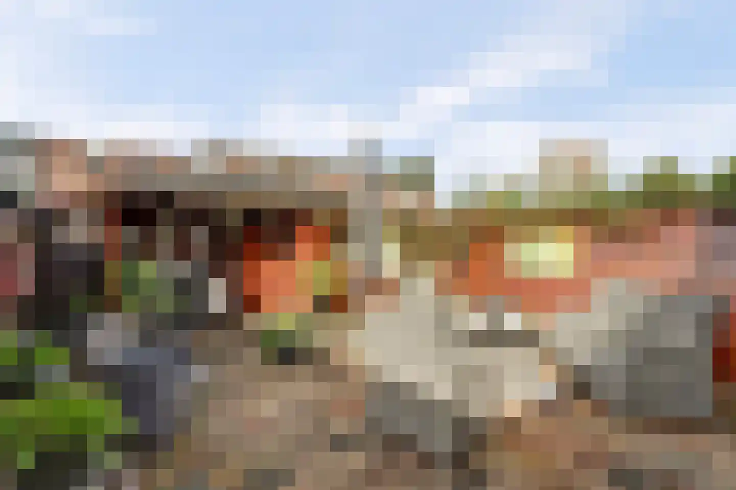 Saffraandonk 6 Spijkenisse thumbnail 11
