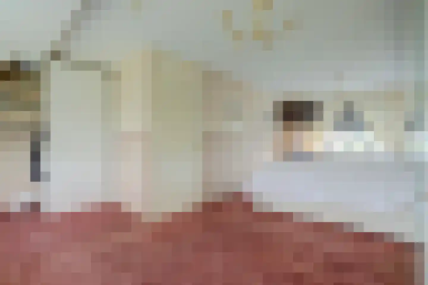 Saffraandonk 6 Spijkenisse thumbnail 16