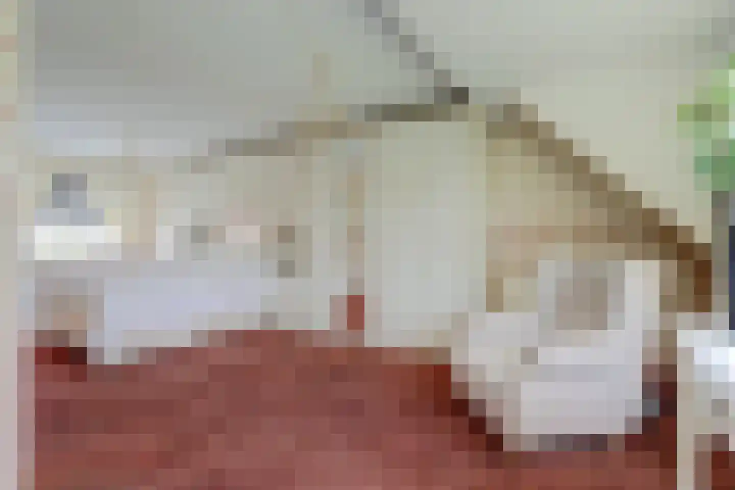 Saffraandonk 6 Spijkenisse thumbnail 17