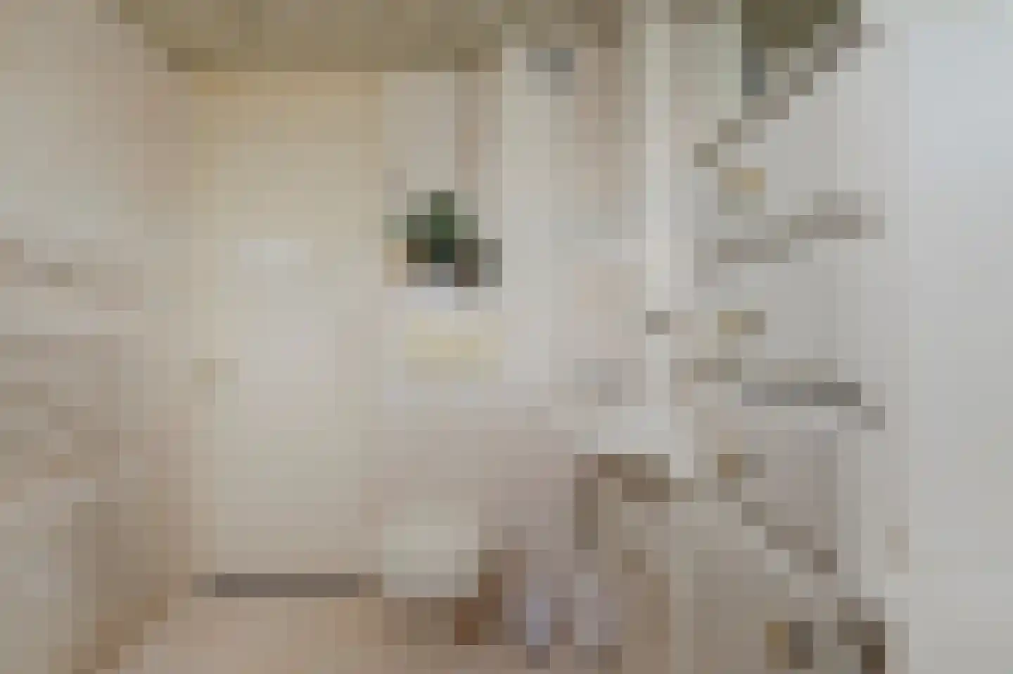 Saffraandonk 6 Spijkenisse thumbnail 21