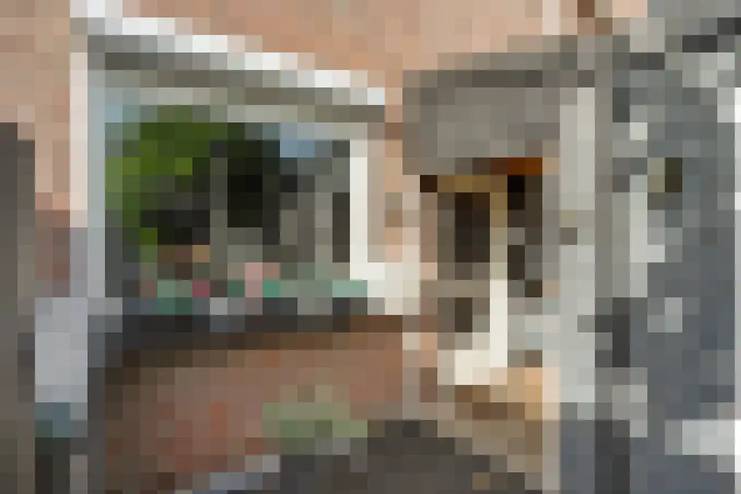 Saffraandonk 6 Spijkenisse thumbnail 30