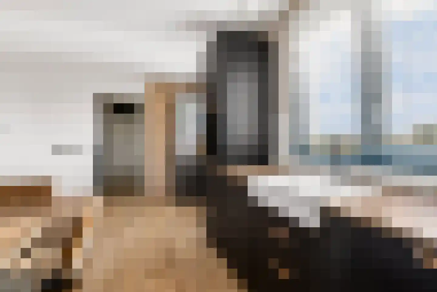 Saffraanplein 26 Almere thumbnail 18