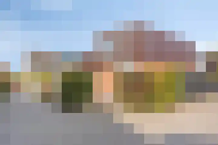 Saffraantuin 2 in Leiden