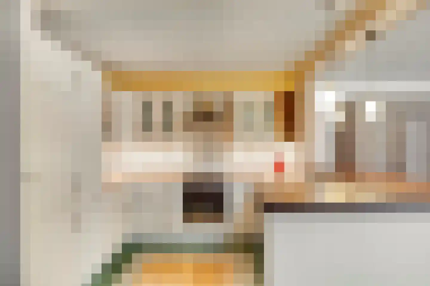 Saffraantuin 25 Leiden thumbnail 16