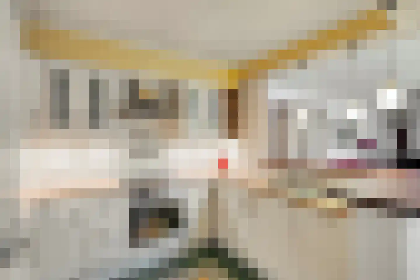 Saffraantuin 25 Leiden thumbnail 18