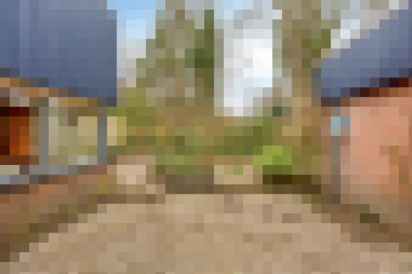 Saffraantuin 25 Leiden thumbnail 24