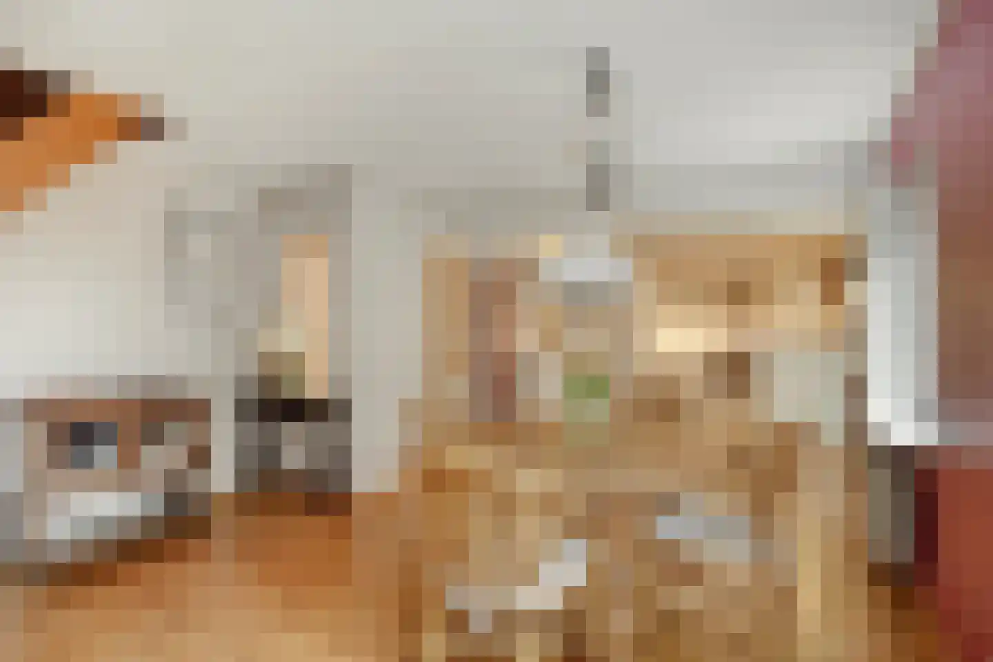 Saffraantuin 25 Leiden thumbnail 27
