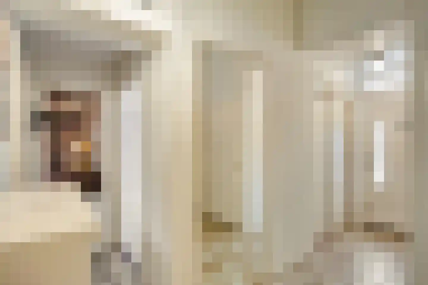 Saffraantuin 25 Leiden thumbnail 6