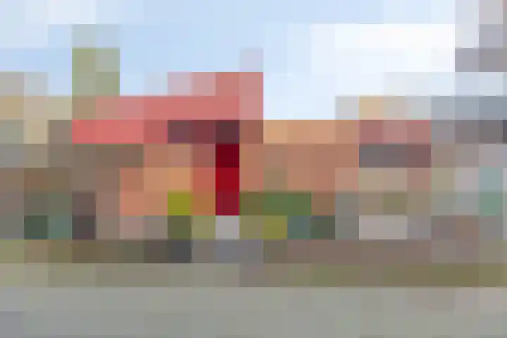 Saffraantuin 6 Leiden