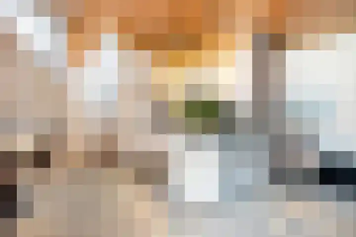 Saffraantuin 6 Leiden thumbnail 14