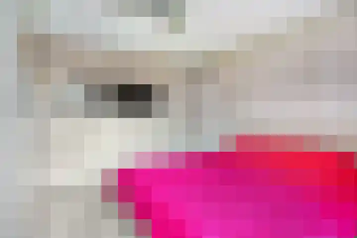 Saffraantuin 6 Leiden thumbnail 20