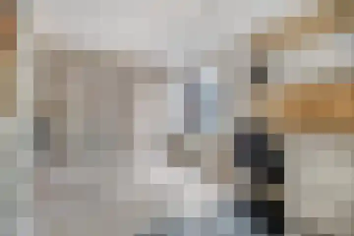 Saffraantuin 6 Leiden thumbnail 23