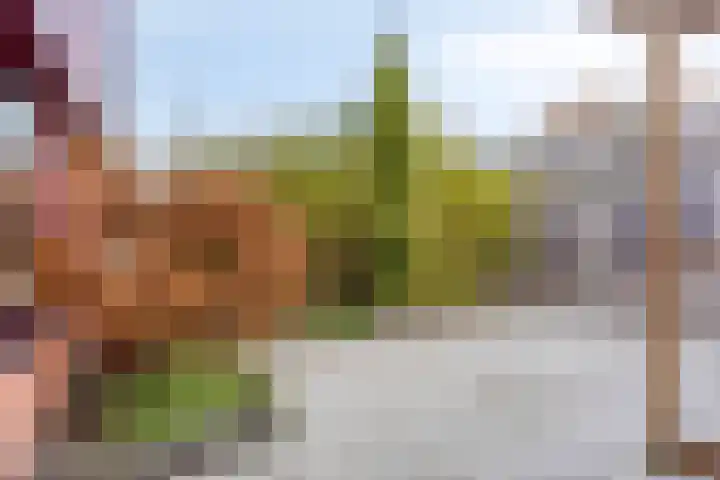 Saffraantuin 6 Leiden thumbnail 27