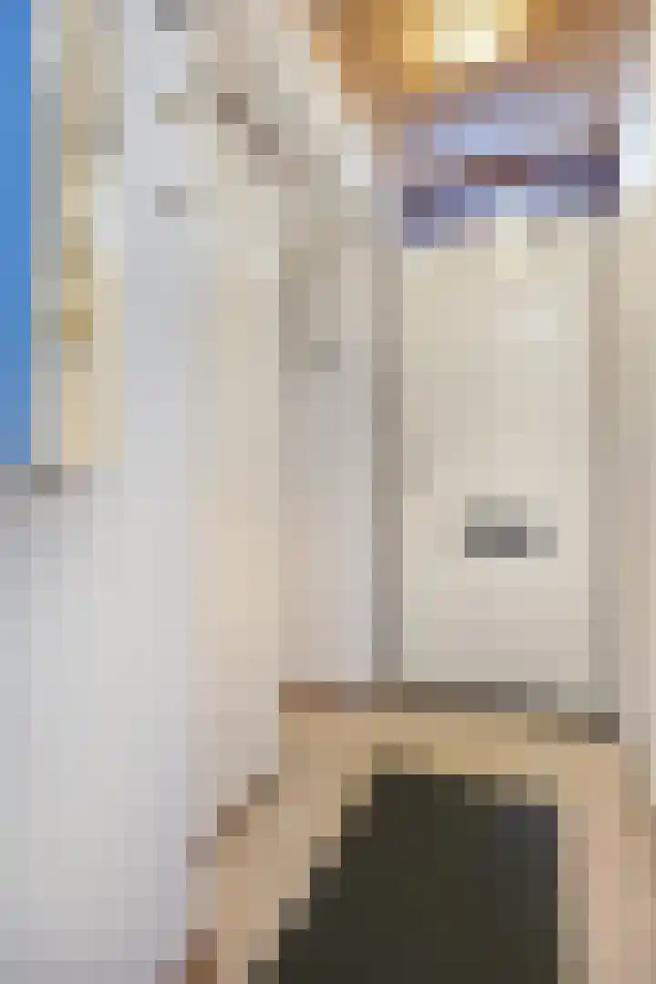 Saffraantuin 6 Leiden thumbnail 6