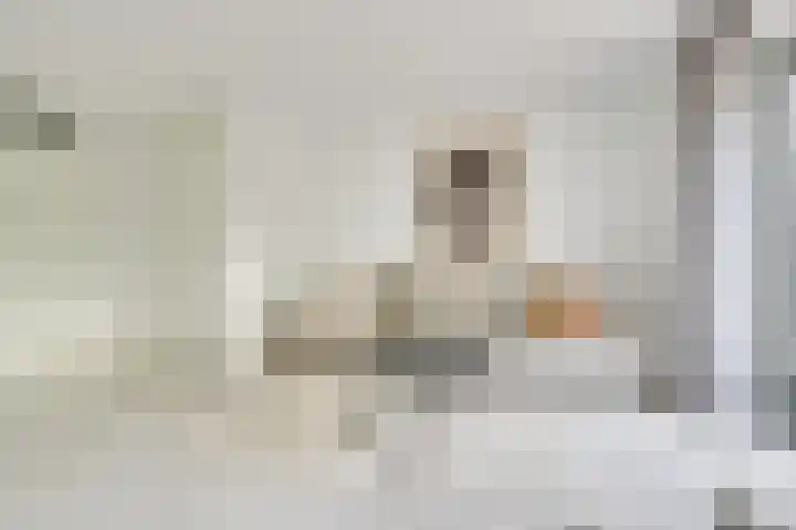 Saffraanweg 23 Utrecht thumbnail 10