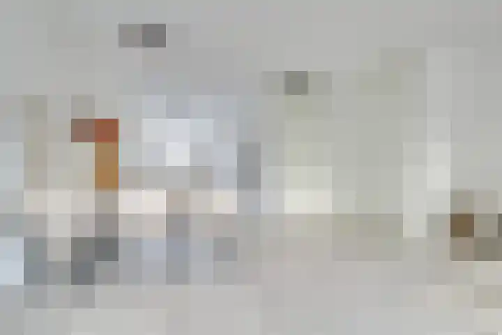 Saffraanweg 23 Utrecht thumbnail 11