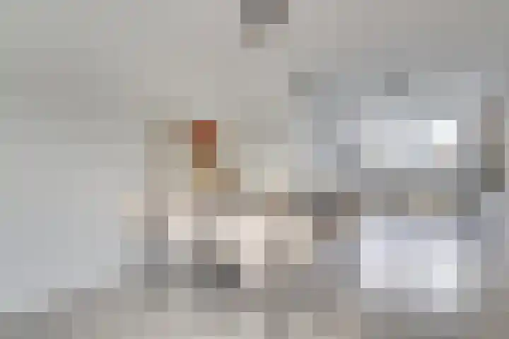 Saffraanweg 23 Utrecht thumbnail 13