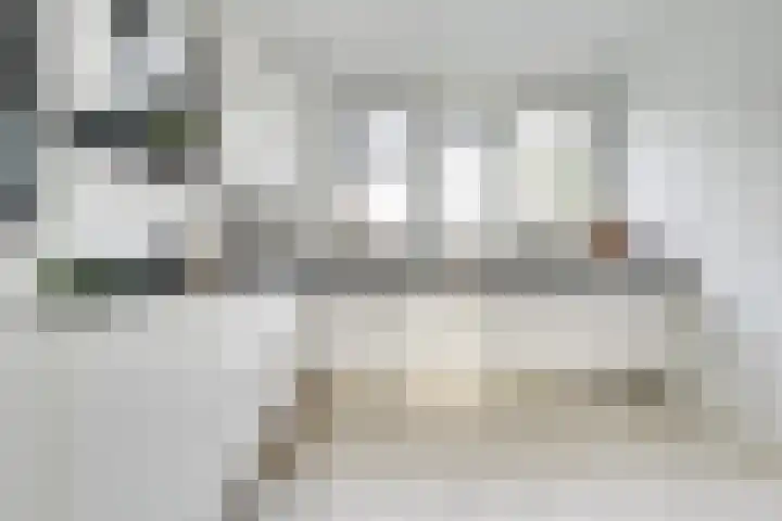 Saffraanweg 23 Utrecht thumbnail 14