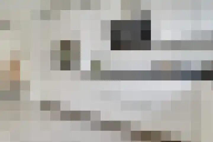 Saffraanweg 23 Utrecht thumbnail 15