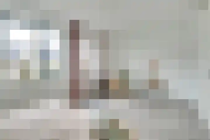 Saffraanweg 23 Utrecht thumbnail 19