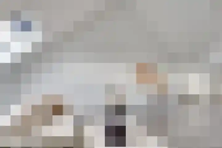 Saffraanweg 23 Utrecht thumbnail 31