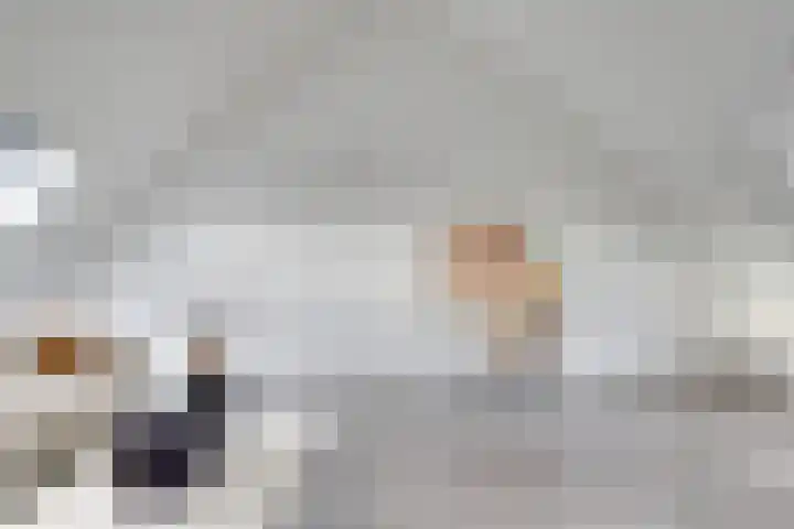 Saffraanweg 23 Utrecht thumbnail 32