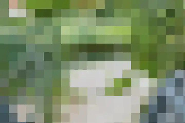 Saffraanweg 23 Utrecht thumbnail 38