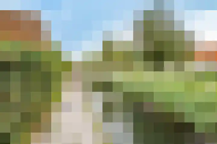 Saffraanweg 23 Utrecht thumbnail 39