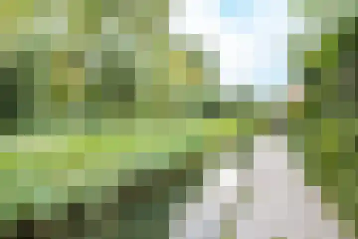 Saffraanweg 23 Utrecht thumbnail 40