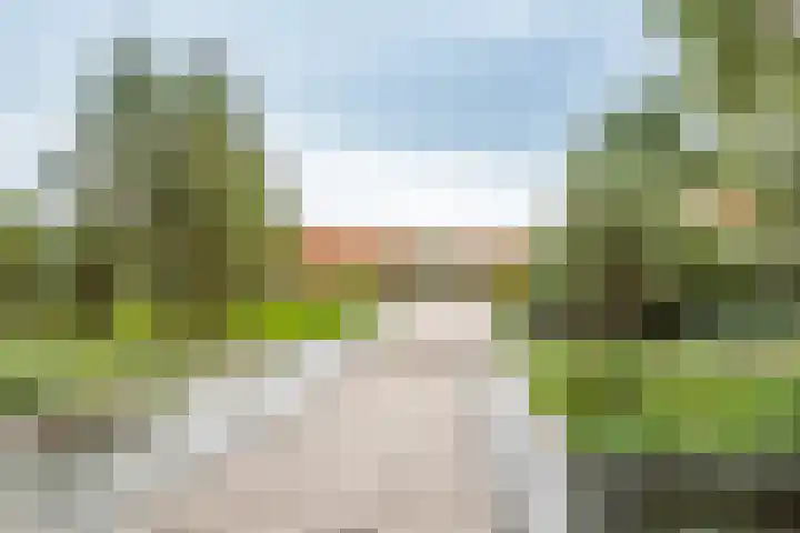 Saffraanweg 23 Utrecht thumbnail 45