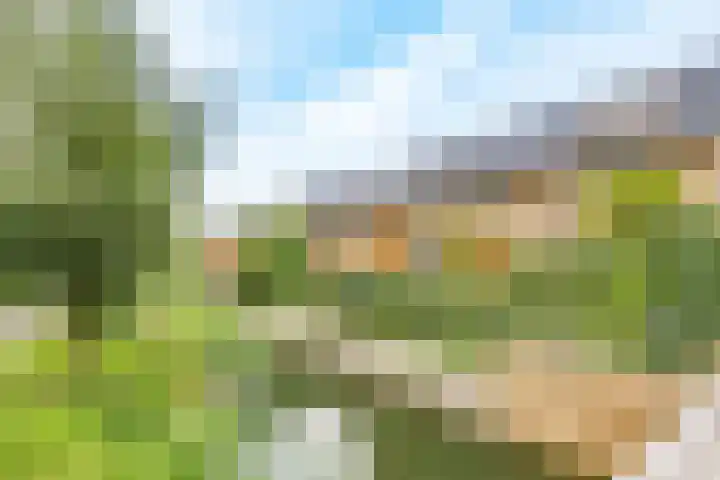 Saffraanweg 23 Utrecht thumbnail 46