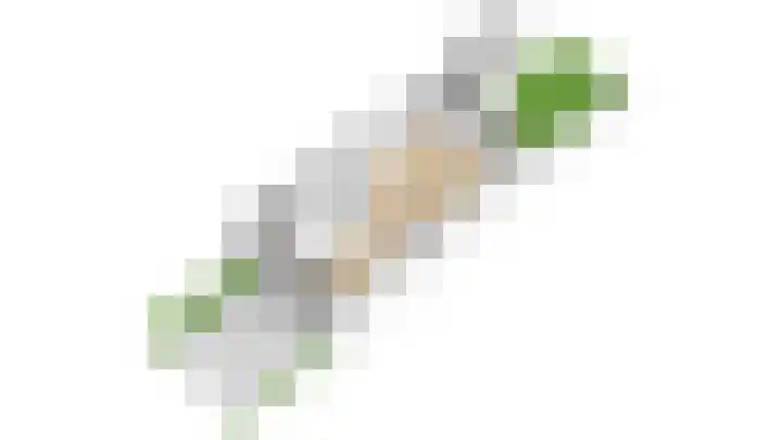 Saffraanweg 23 Utrecht thumbnail 61