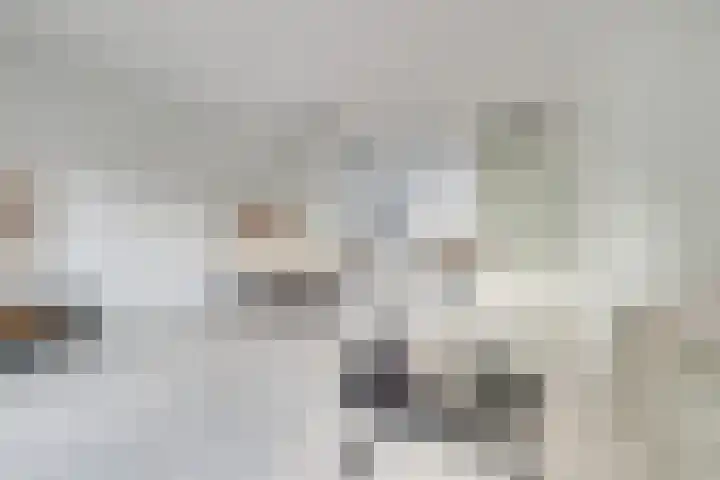 Saffraanweg 23 Utrecht thumbnail 9
