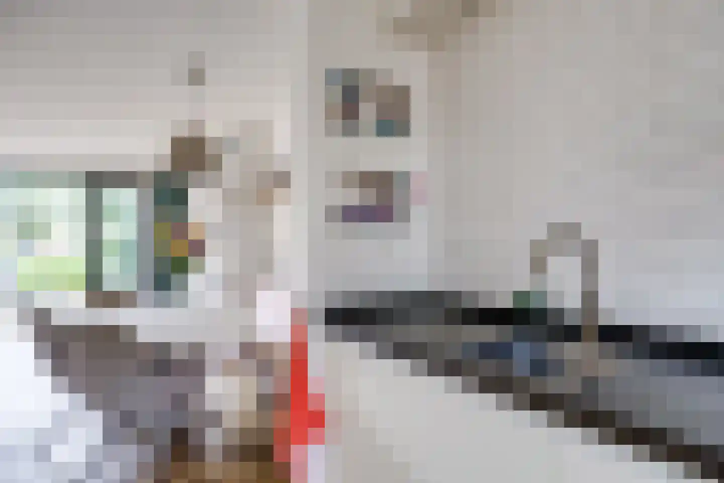Saffraanweg 41 Utrecht thumbnail 25