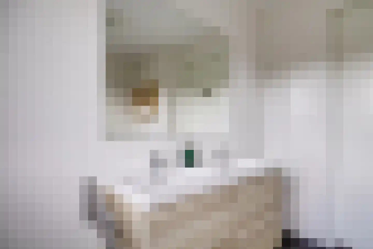 Saffraanweg 41 Utrecht thumbnail 35