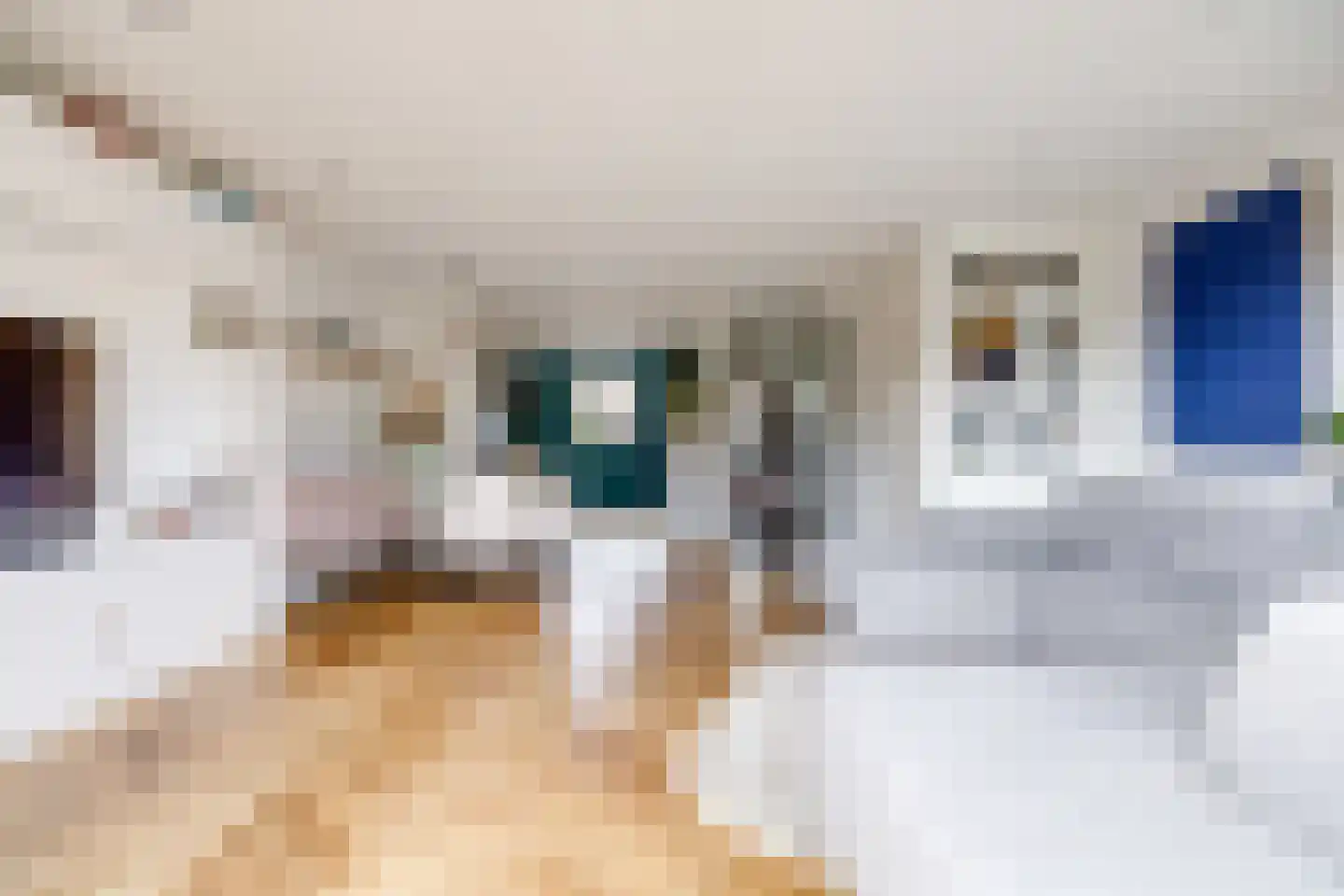 Saffraanweg 41 Utrecht thumbnail 4