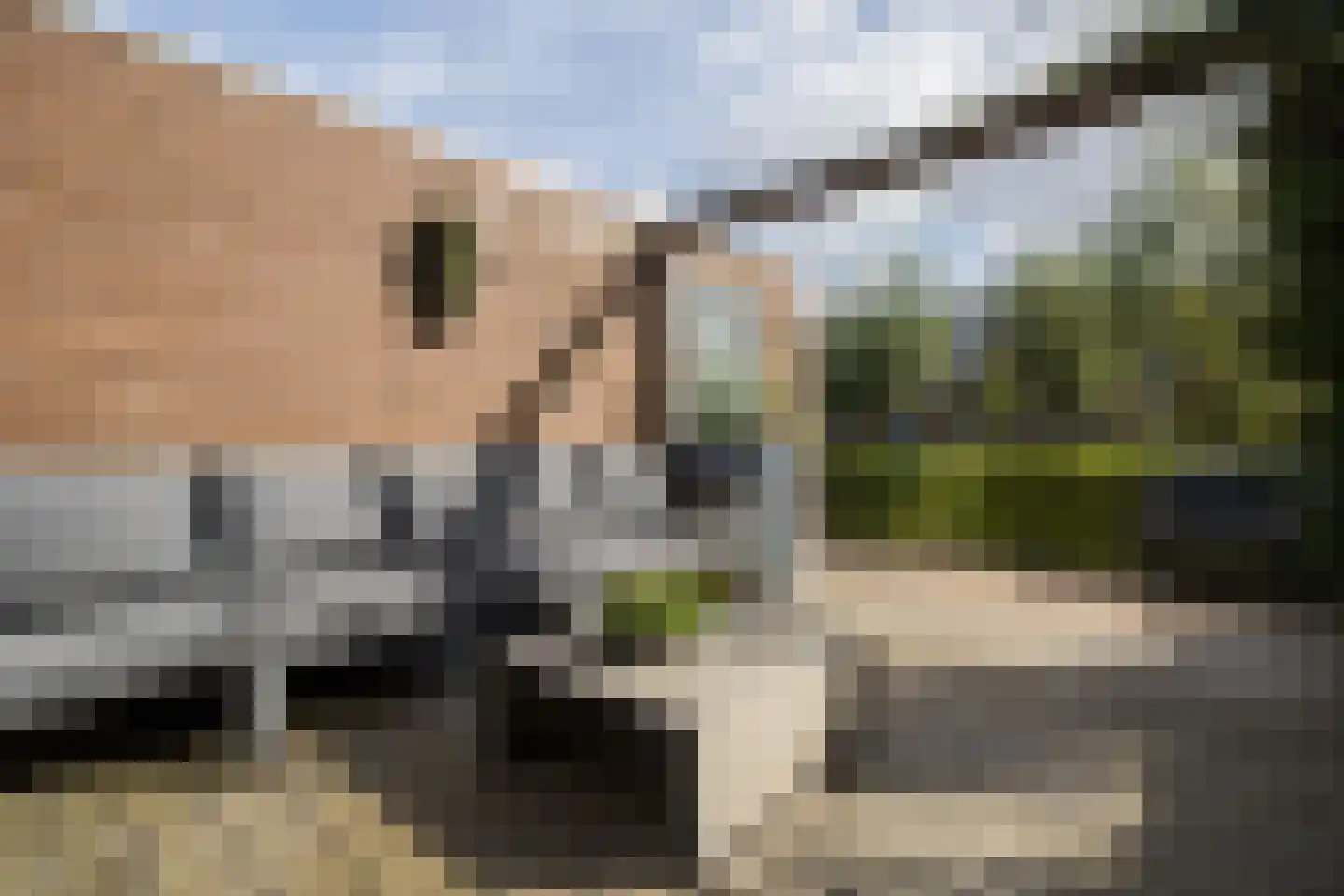 Saffraanweg 41 Utrecht thumbnail 50