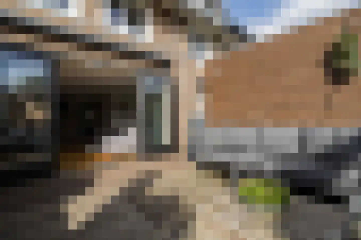 Saffraanweg 41 Utrecht thumbnail 51