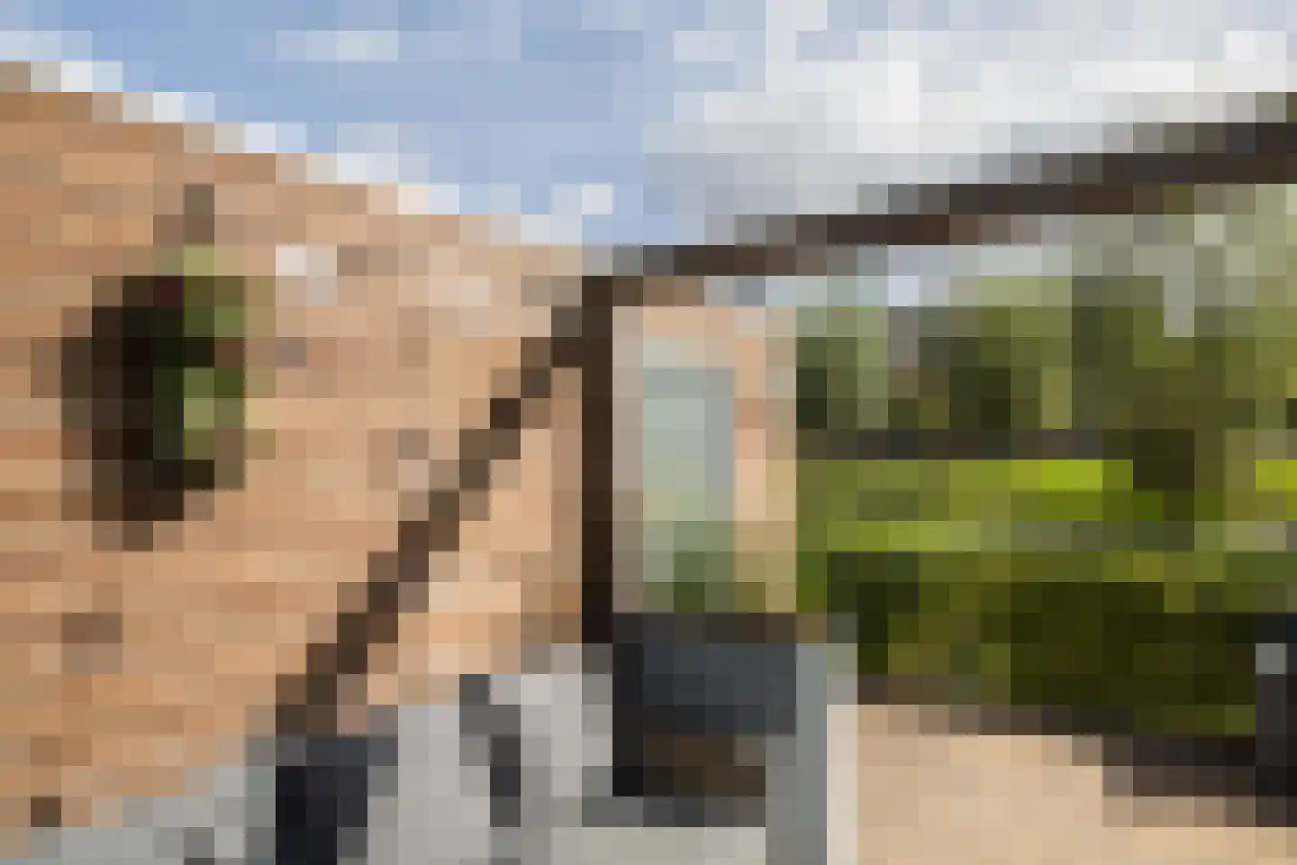 Saffraanweg 41 Utrecht thumbnail 52