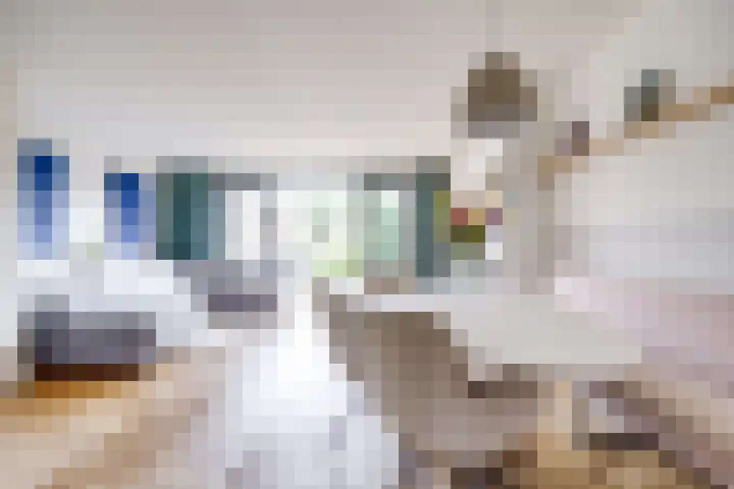 Saffraanweg 41 Utrecht thumbnail 6