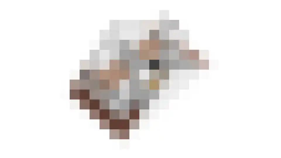 Saffraanweg 41 Utrecht thumbnail 71