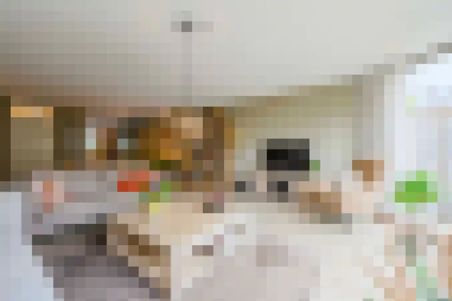 Saffraanweg 49 Voorhout thumbnail 10