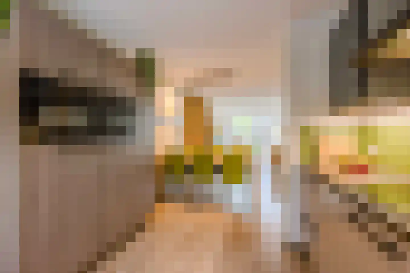 Saffraanweg 49 Voorhout thumbnail 16